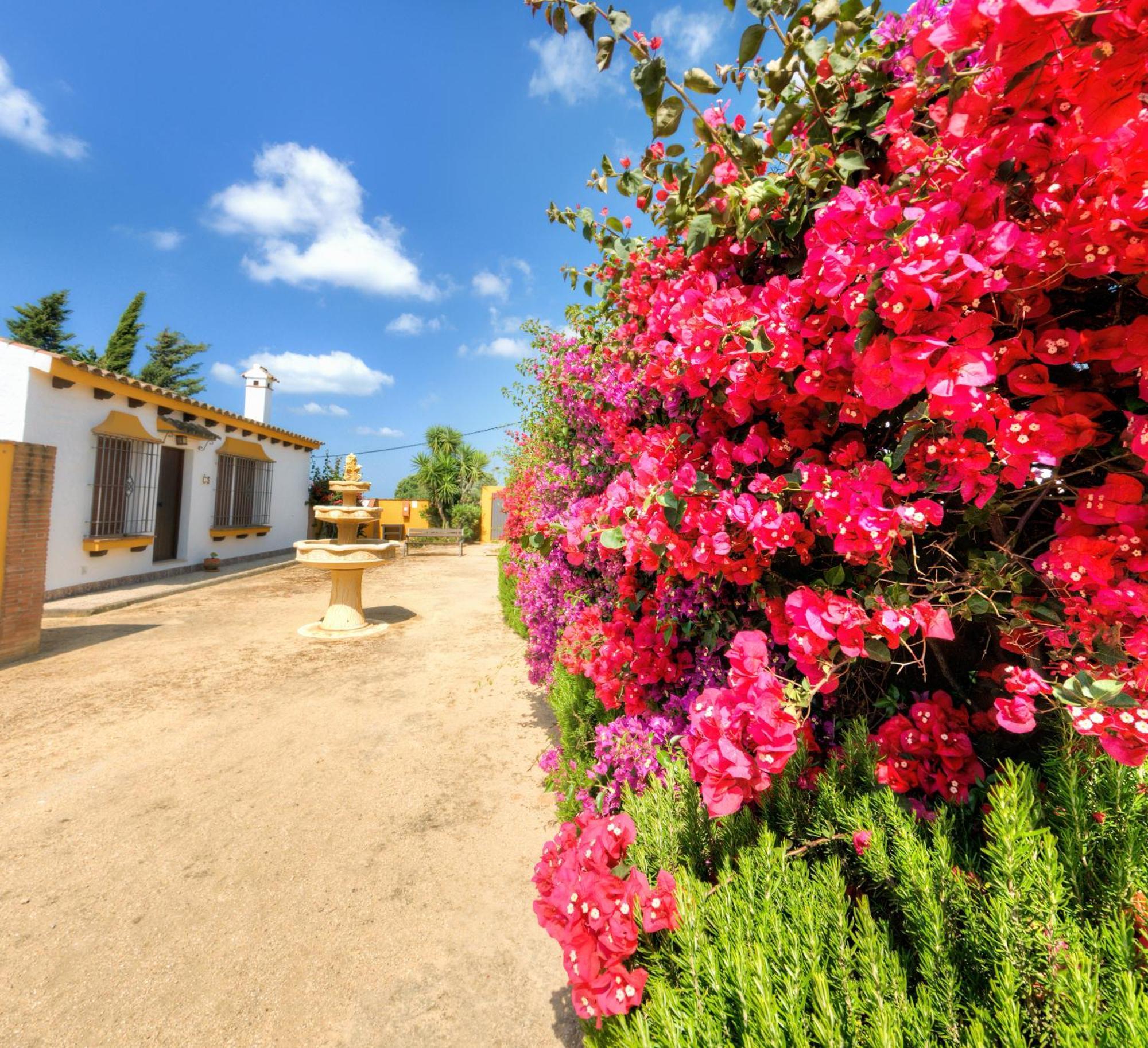 Hacienda Los Majadales Коніль-де-ла-Фронтера Екстер'єр фото